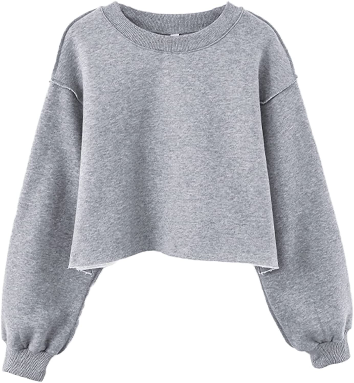 Plain Grey Cropped Female Clothes Pullovers Sweatshirts for Women Tops  Cheap and Free Shipping Long Sleeve Thick Emo Warm M Xxl